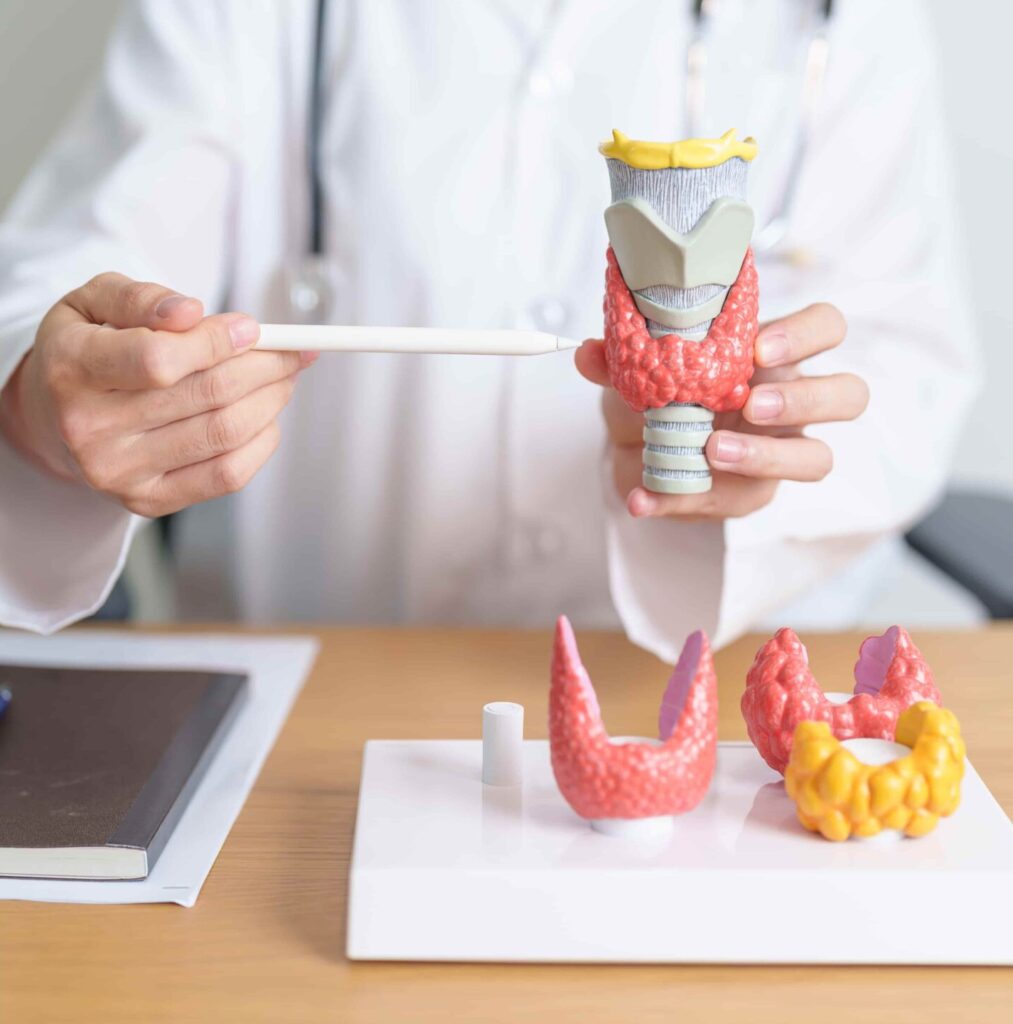 Cardiology Care (5)-min rk hospital dhakoli